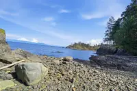 View 42