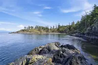 View 46