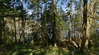 View 30