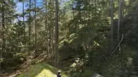 View 49