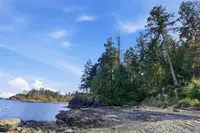 View 41