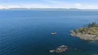 View 51