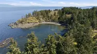 View 50