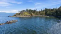 View 58