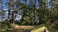 View 11