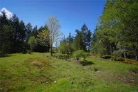 View 12