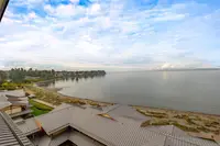 View 49