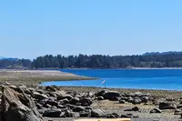 View 75