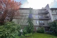 View 29