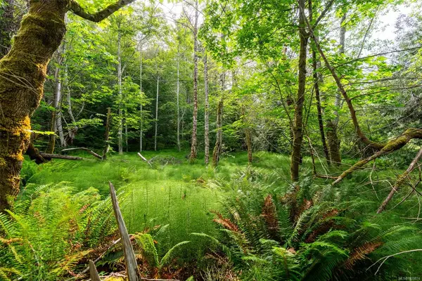 Lot 3 - 384 Seaspray Dr, Metchosin BC V9C 4A6