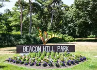 View 51
