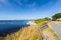 View 50