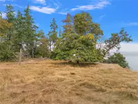 View 17