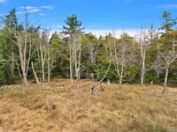 View 16