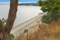 View 4