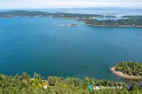 View 41