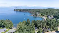 View 61