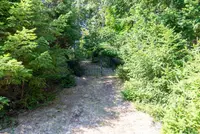 View 43