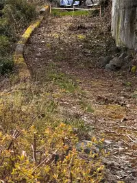 View 32