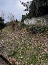 View 31