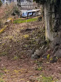 View 29