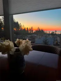 View 52