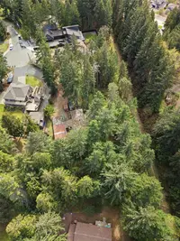 View 51