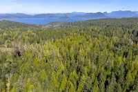 View 33