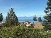 View 31