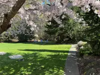 View 51