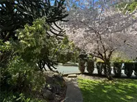 View 37
