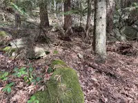 View 13