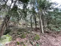 View 17