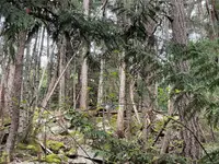 View 16