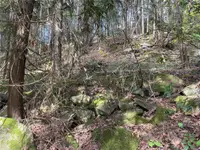 View 10