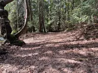View 15