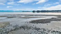 View 58
