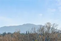 View 35