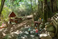 View 18