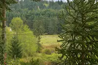 View 38