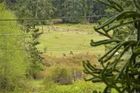 View 37