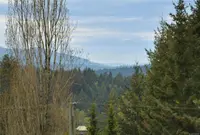 View 40