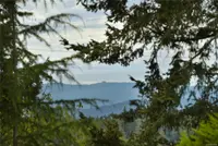 View 39