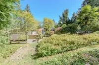 View 31