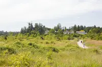 View 53