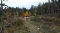 View 16