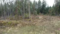 View 15