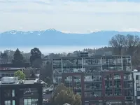 View 21