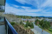 View 40