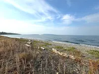 View 4
